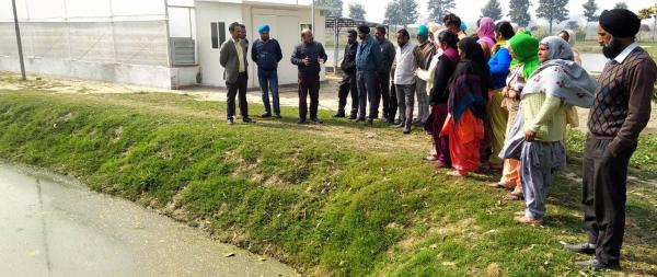 KVK Mohali organises one week vocational training on Value addition to farm produce